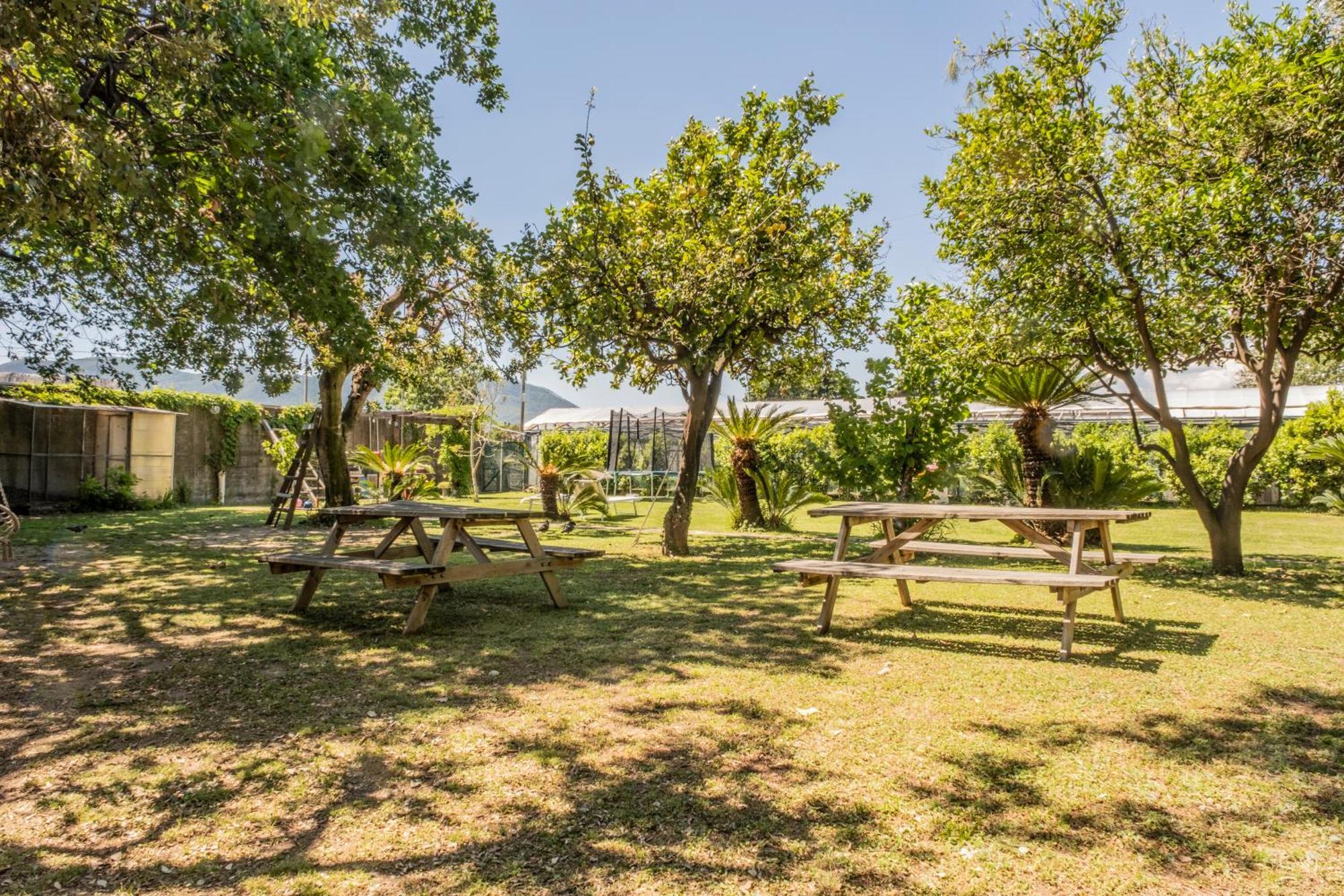 Agriturismo Giorgi Appartamenti In Riviera Ligure Albenga Eksteriør bilde