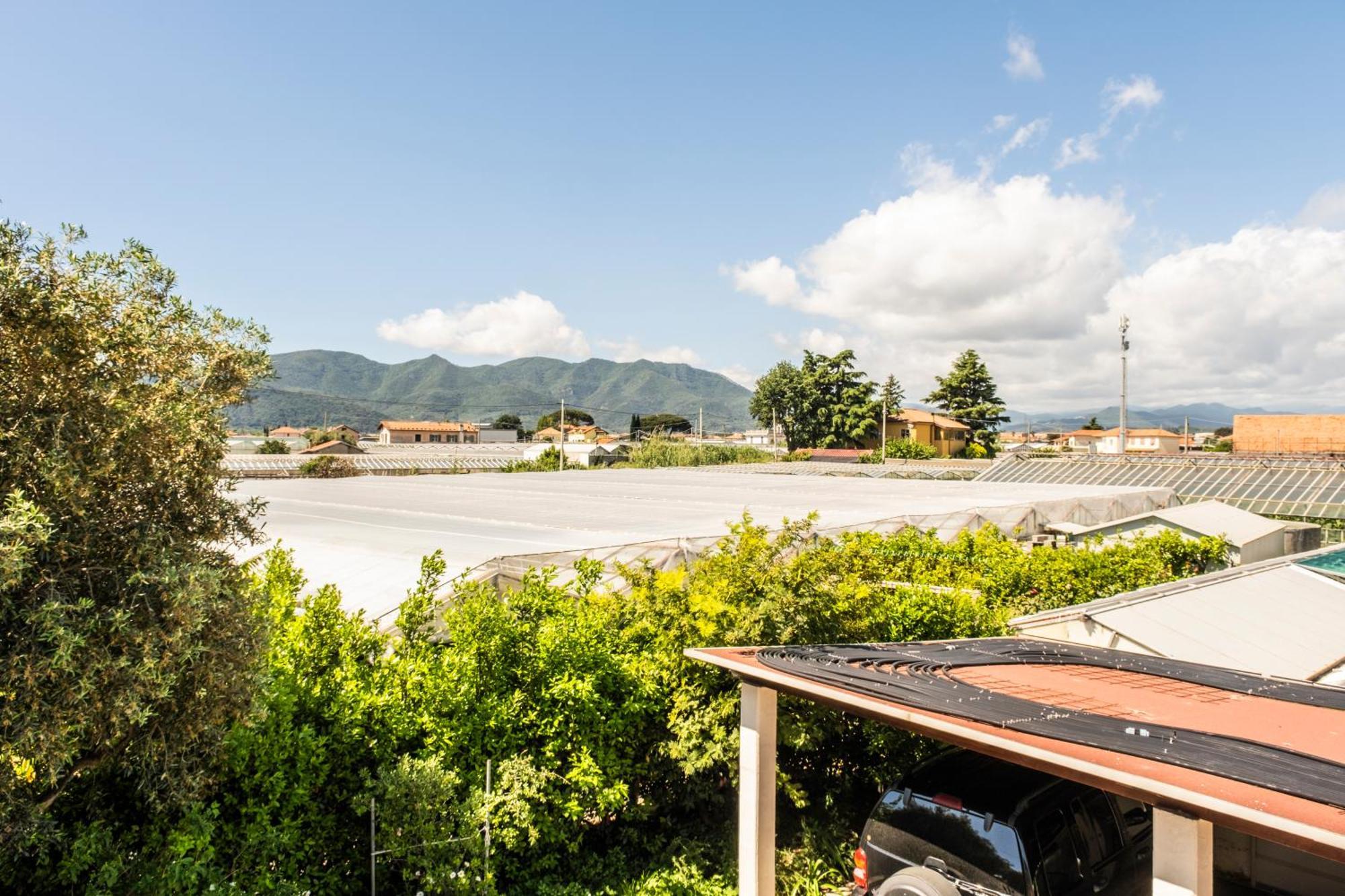 Agriturismo Giorgi Appartamenti In Riviera Ligure Albenga Eksteriør bilde